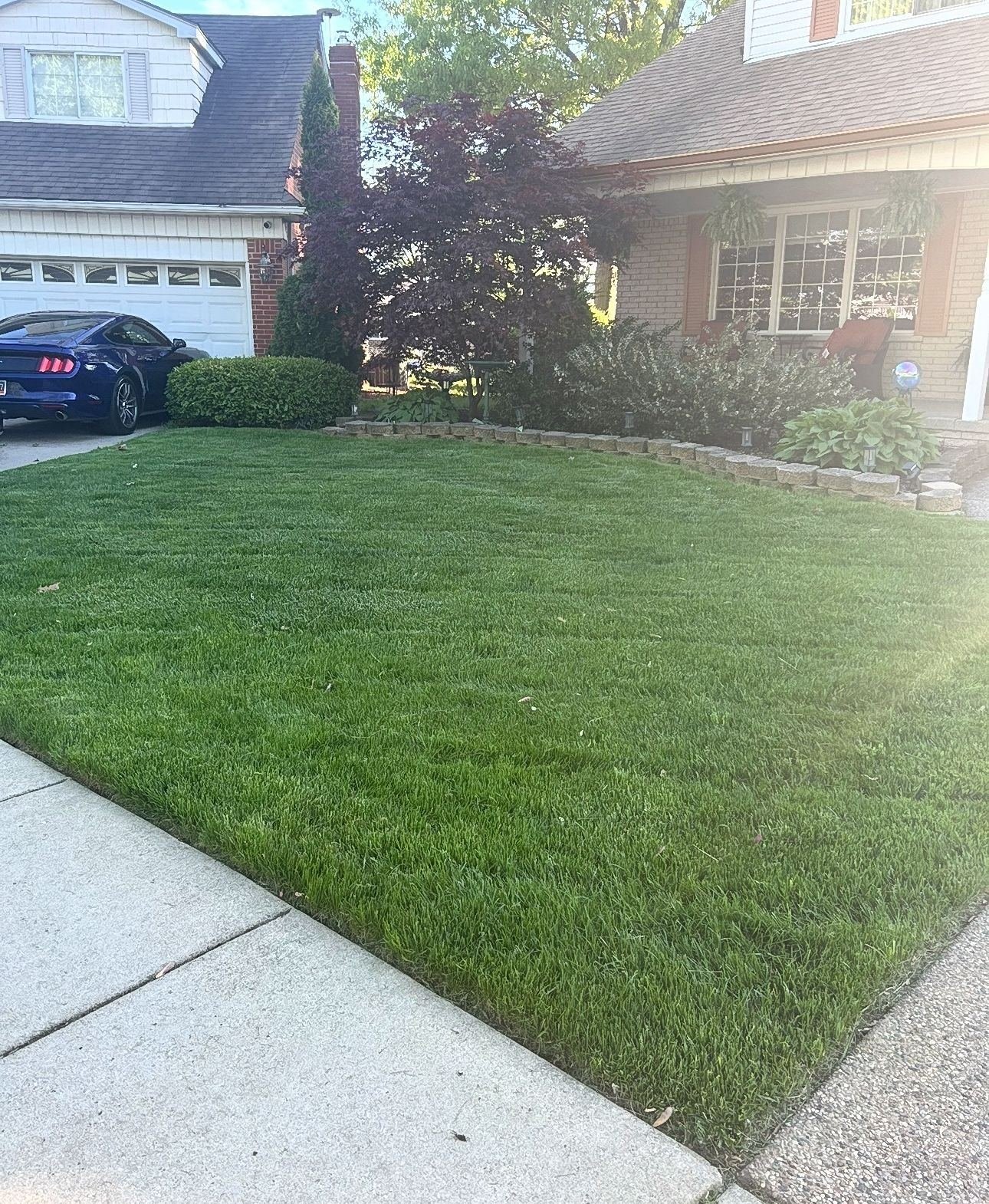 Curb appeal lawn work