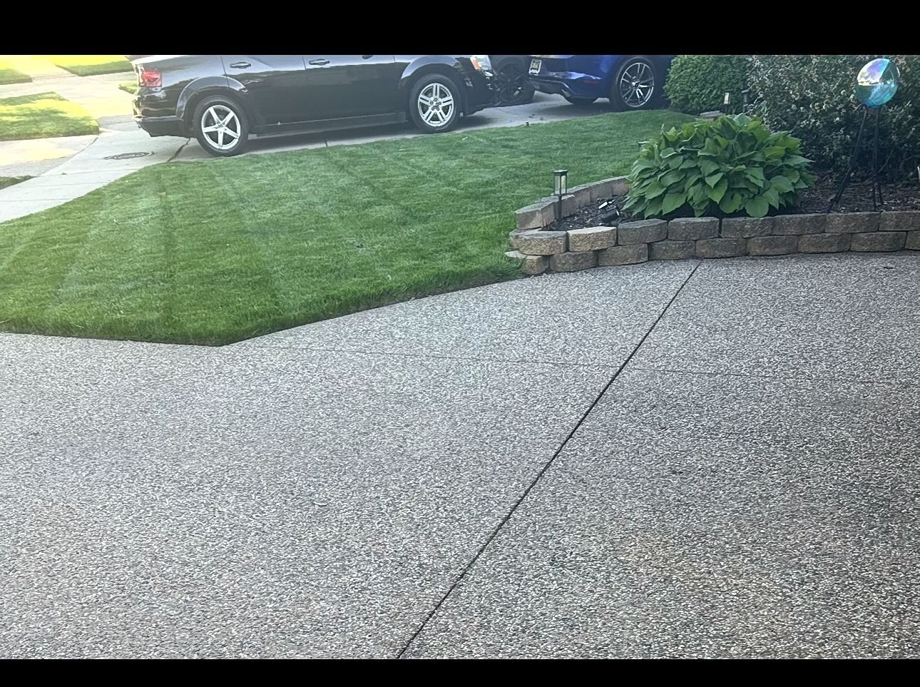 Side yard cleanup