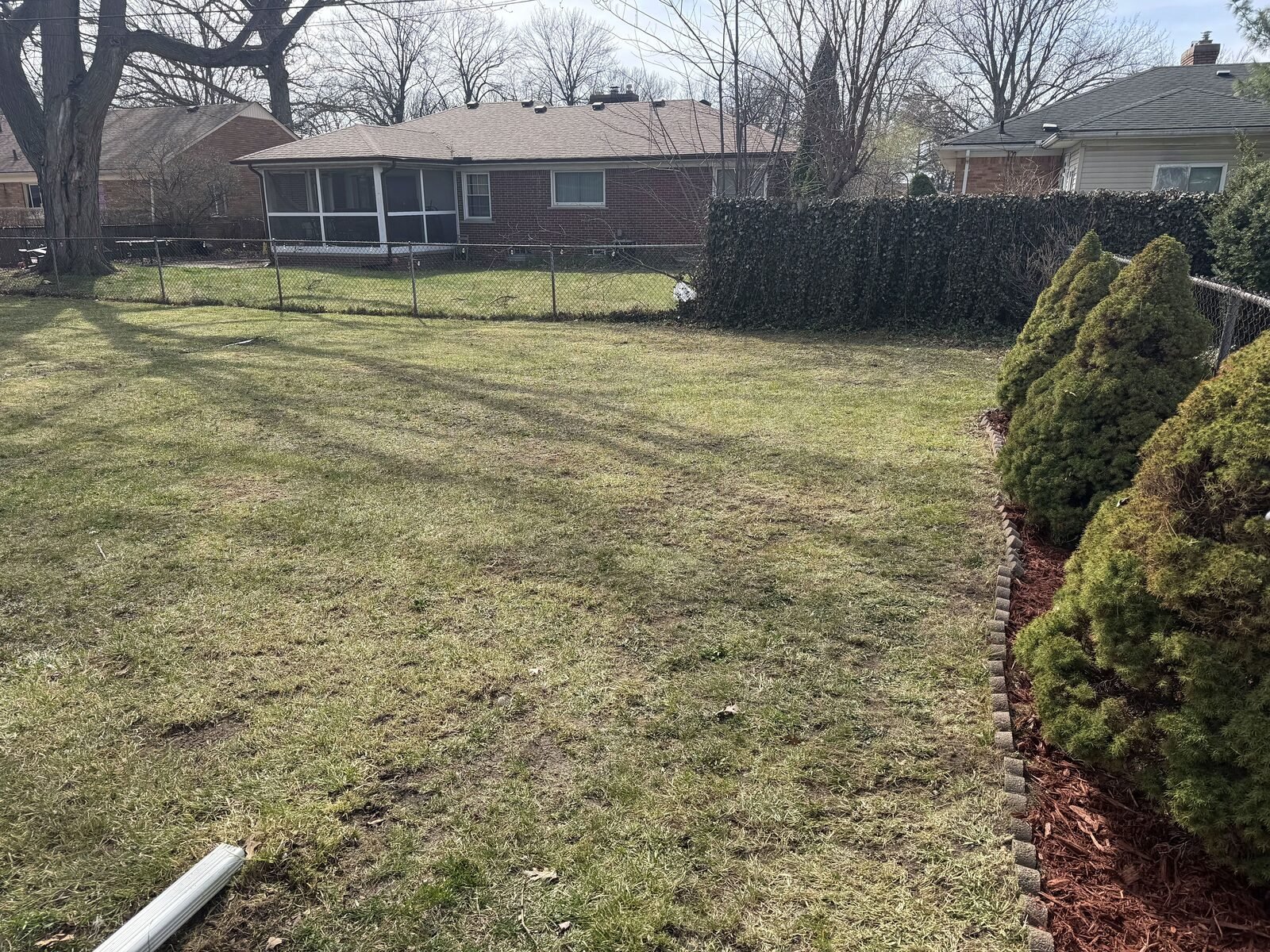 Trimmed yard at dusk